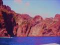 live in Corsica