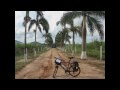 Caminho da Fé