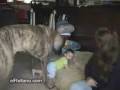 videos de cosquillas-elRellano