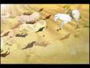 cuisillos .wmv cuisillos .wmv