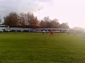 a bit of badger noise