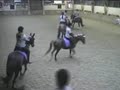 Carrousel horse riding