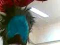 videos de Teodoro GOWN????