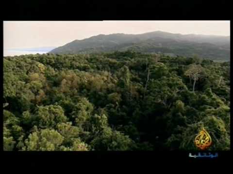 أسرار من مملكة النبات 