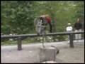 Trialbike...