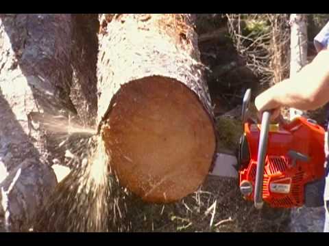 efco - Here is my First Efco Chainsaw. Same setup as other saws with the First Cuts in the title.