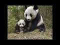 Click here to watch this video Sun-Y Project - Home (French Version).wmv