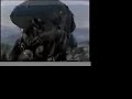 War Dog Tribute