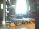 what i do when monday is a p.d. day
