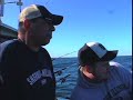 Midwest Outdoors Blue Whale Charter Midwest Outdoors Blue Whale Charter