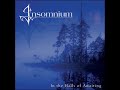 Black Waters - Insomnium