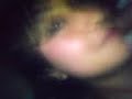 MOV00022.3GP