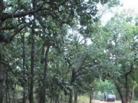 how to reach khajuraho from jabalpur by train