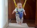 Milo bouncer