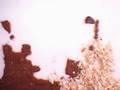 videos de Castles shooting
