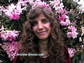 14-breese-self-inquiry-oneness-mantra-kirtan-mindfulness.html