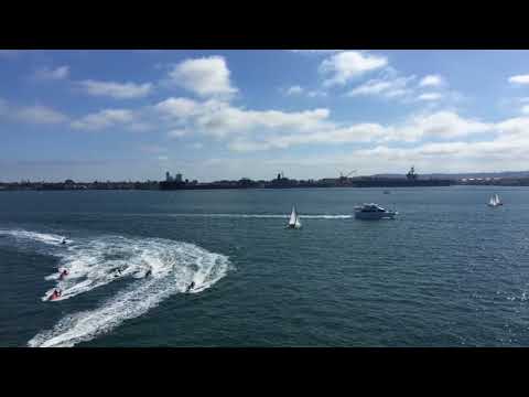 動画