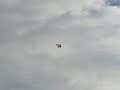 ????????