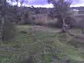 wofa