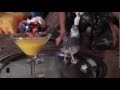 ATOMIKFAIRY'S QUAIL MARUSHKA