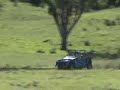 Toyota off road buggy