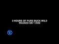 Playas Gone Wild - Houston Splash 2008