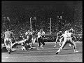 Hit Me With Your Best Shot - Herschel Walker Top Dawg