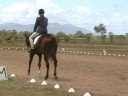 E.J and Bonza- Novice 2.3, NQEG 2008