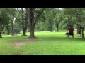 See video See video
