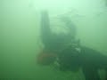 ice diving