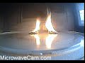 MicrowaveCam.com - Pop Tarts Foil Packages (slow motion) MicrowaveCam.com - Pop Tarts Foil Packages (slow motion)