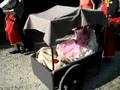 videos de Princess Processional