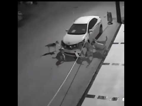 Pogonił psa kopniakiem, bo tarasował mu drogę. W nocy zwierzak zebrał towarzyszy i odegrał się na jego aucie.