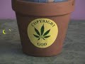 Cannamation Productions