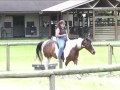 Peggy Finnerty  Parelli Level 3 Playing with Grande