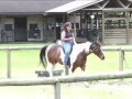 Peggy Finnerty  Parelli Level 3 Playing with Grande