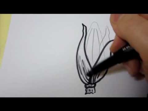 how to draw corn