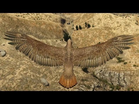 Play as a HAWK In GTA 5 PS4 Peyote HD