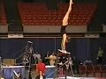 Lindsey Wehseler 2008 Region 7 Level 8 Regionals Senior C Bars