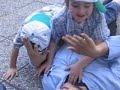 gan israel