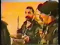 Սպիտակ արջ Karabagh Fedayi  2
