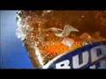 The Bud Light Breathe Fire Super Bowl XLII