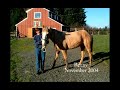 Search Video