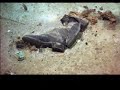 Relitto Titanic (wreck of Titanic) Relitto Titanic (wreck of Titanic)