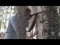 trailer-zombie.html