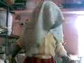 videos de gungun ki masti