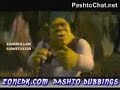 pukhto