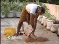 Vegetable cultivation in Terrace