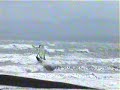 Windsurf Monkey Island
