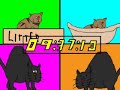 24 Cat style 24 Cat style